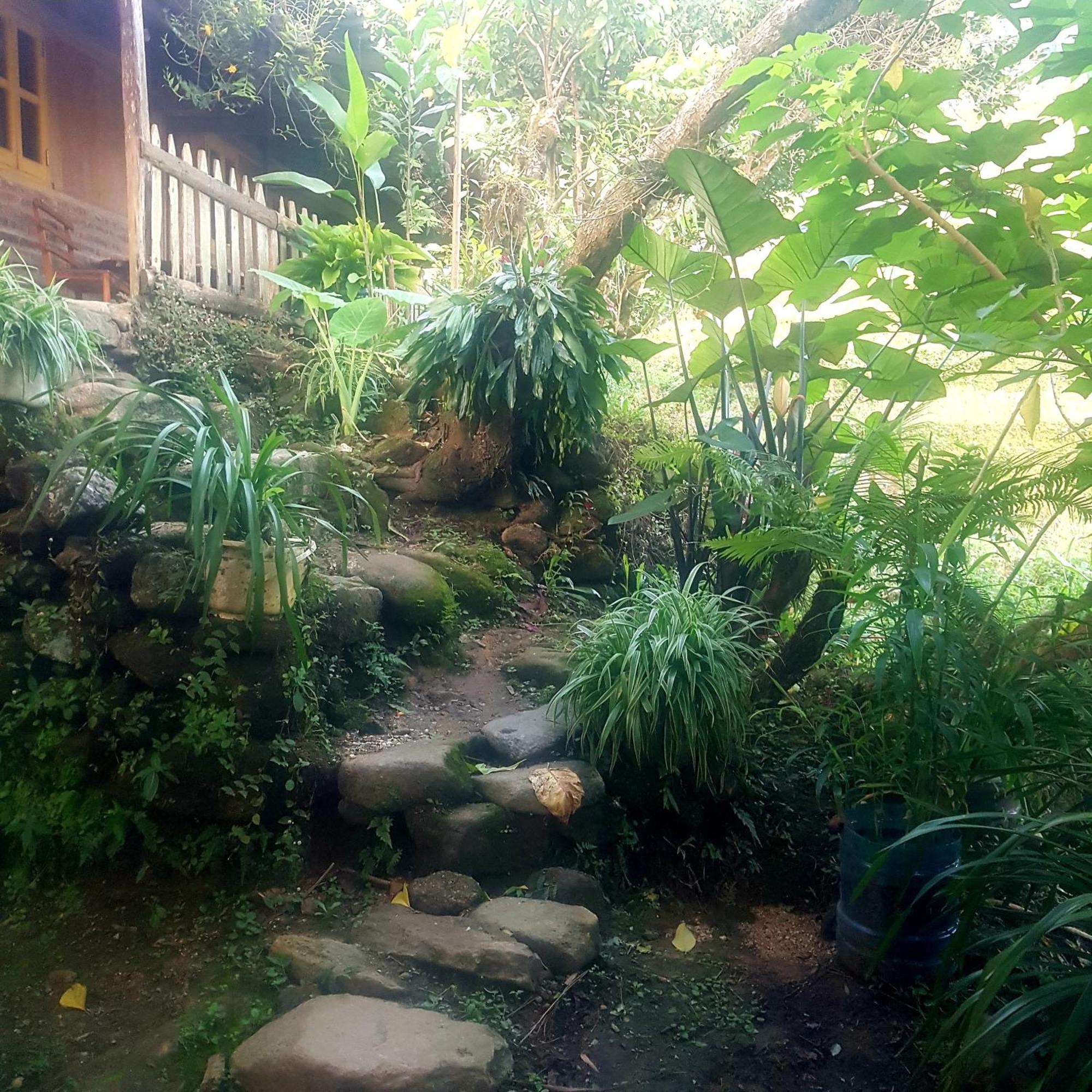 Miku Chill House Apartment Sa Pa Exterior photo